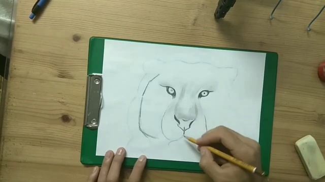 #YULBARS#CHIZISH YULBARS смотреть онлайн