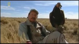 Сила хищных птиц.