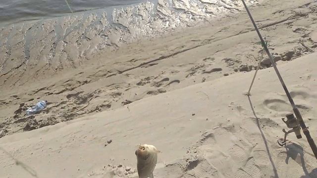 ЗАПОРОЖЬЕ РЫБАЛКА В НОВЫХ РЕАЛИЯХ 19.06.23 смотреть онлайн