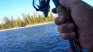 Сплав по р.Амыл ч.2.  Дикий хариус вырывает удочки из рук. Ловля на верховой настрой - "балда".