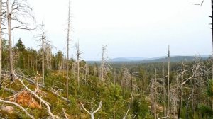Топ 5 водопадов Карелии самые крутые водопады республики Карелия