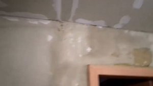 Вот почему я всегда смываю побелку до основания. Подготовка стен и потолков перед грунтовкой