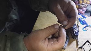 Бойловая снасть на сазана