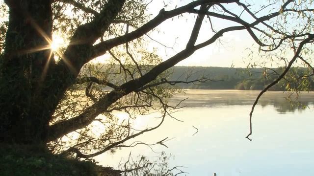 СХИАРХИМАНДРИТ ВИТАЛИЙ (СИДОРЕНКО). Редчайшие кадры и наставления смотреть онлайн