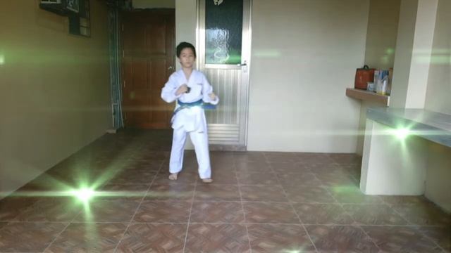 TAEKWONDO ONLINE PROMOTION TEST // Bluebelt to Redbelt // JC CRIS смотреть онлайн