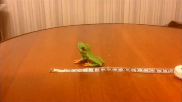 Древесная лягушка M Collecta (Коллекта) смотреть онлайн