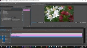 Эффекты Размытие по Гауссу и Сложное Размытие Premiere Pro