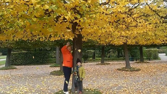 ПЕТЕРГОФ ПАРК ВЕРХНИЙ ПЕТРА 1 ЧАСТЬ 1 смотреть онлайн