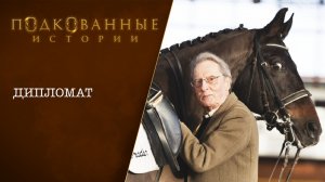 16 Подкованные истории: ДИПЛОМАТ