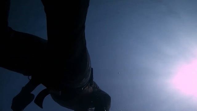 Нежности и игра с диким дельфином.Дельфин перепутал самку.Tenderness and playing with a wild dolphi смотреть онлайн