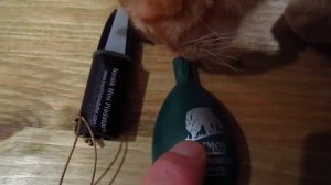 МАНОК-ПИСК МЫШИ