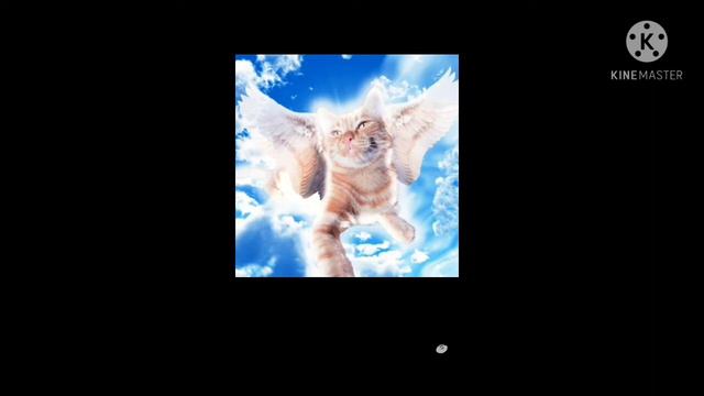 Видео про Симбочку старшего и Симбочку младшего смотреть онлайн