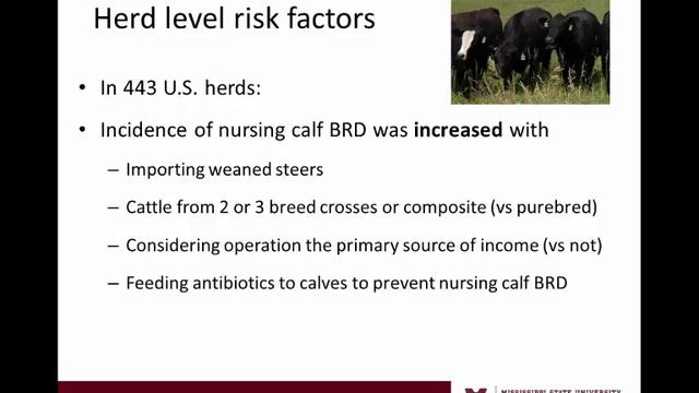 Risk Factors for BRD on Cow-Calf Operations смотреть онлайн