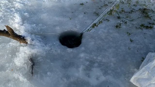 Рыбалка сетями/ловим карасей/крупный карась/по льду/ рыбалка 2020 смотреть онлайн