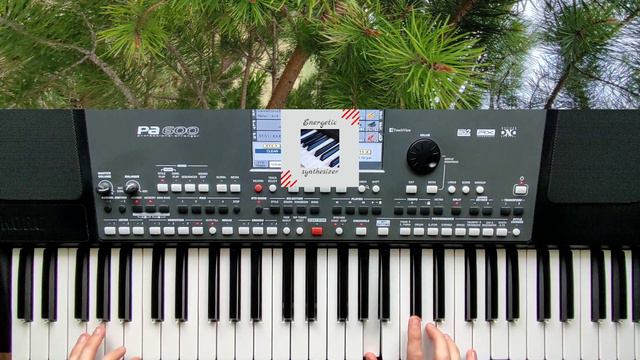 Лілія (Ой ти лілія)Lilia (Oh, you lily)Korg PA600 Dance Discko смотреть онлайн