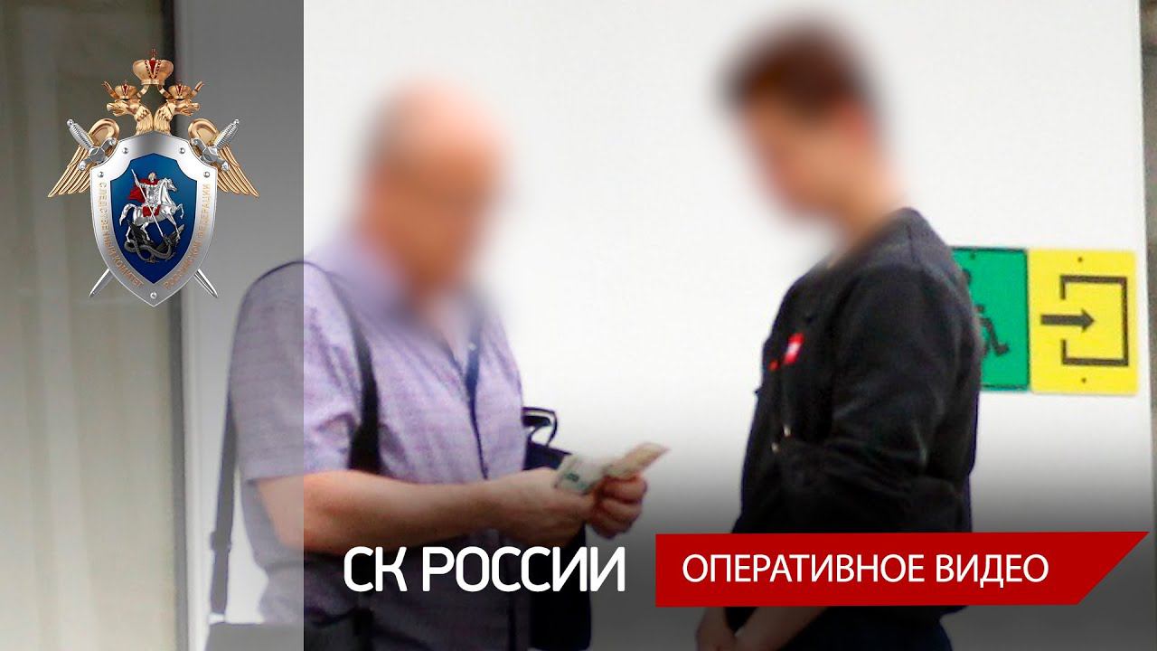 Во Владимирской области перед судом предстанет главный специалист отдела опеки и попечительства