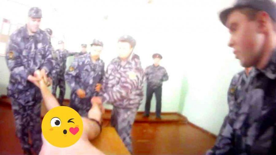 Привязывание хищников наносит серьезный вред птицам