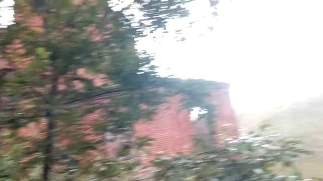 Мы находимся в доме сдесь жил граф Талдыкин . его. Построили в 1813 году смотреть онлайн