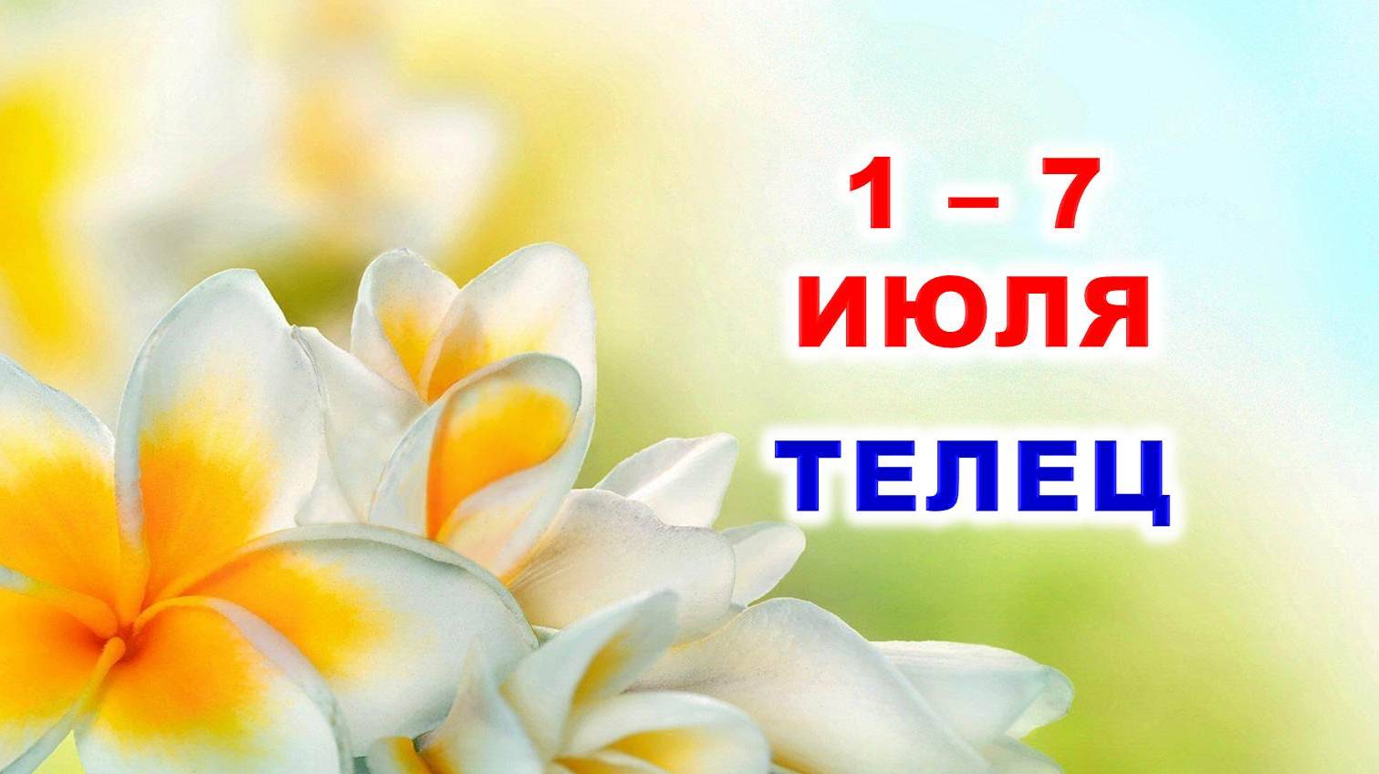 ♉ ТЕЛЕЦ. 🏵 С 1 по 7 ИЮЛЯ 2024 г. 🌞 Таро-прогноз 🌟