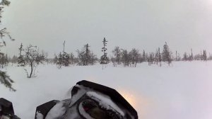GoPro HD: Sledding in Lofsdalen | Summit X 154" 800R E-TEC |