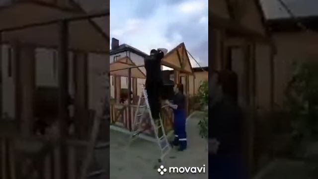 Строительство беседки в Ставрополе