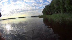 Рыбалка на сети,проверка 28.05.19.