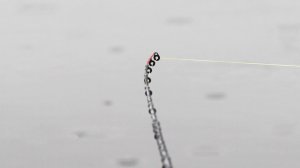 РЫБАЛКА на ФИДЕР!клюет на каждом забросе!