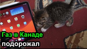 Газ в Канаде подорожал, Apple починили MacBook бесплатно