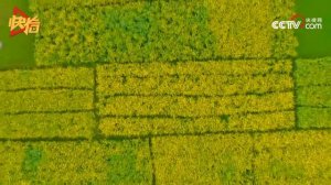 Природа Китай