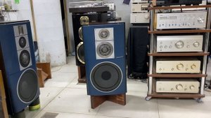 Victor zero 100 полковники