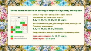 Благоприятные дни для посева семян томатов на рассаду весной 2024 года по Лунному календарю