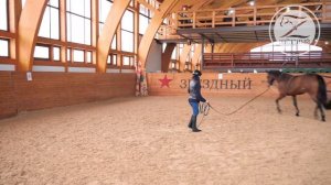Работа с лошадью на корде / Способы крепления корды / Приспособления для работы на корде