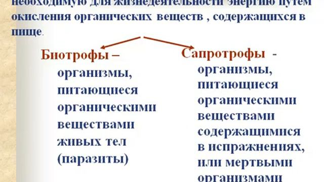 Основные принципы обмена веществ смотреть онлайн