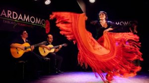 Alex Fox - Spanish Guitar Music - Spanish Flamenco Music