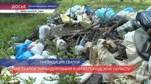 Почти 500 незаконных свалок ликвидировано в Нижегородской области