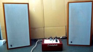 45 years old  DUAL CL 172  speakers ,Fiio X3 player and SE tube amp