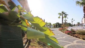 Обзор отеля  Lonicera World Hotels 4