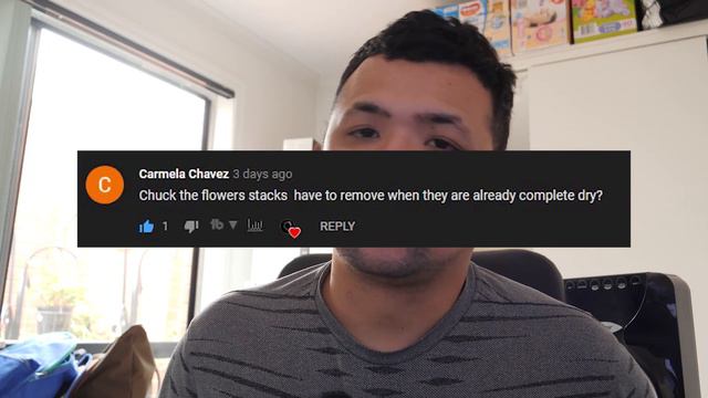 Should I remove the leaves from Echeveria flower stalks? | 149 Recap смотреть онлайн