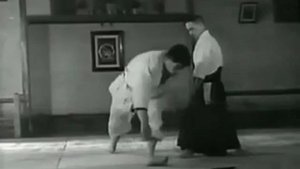 Айкидо, Годзо Сиода