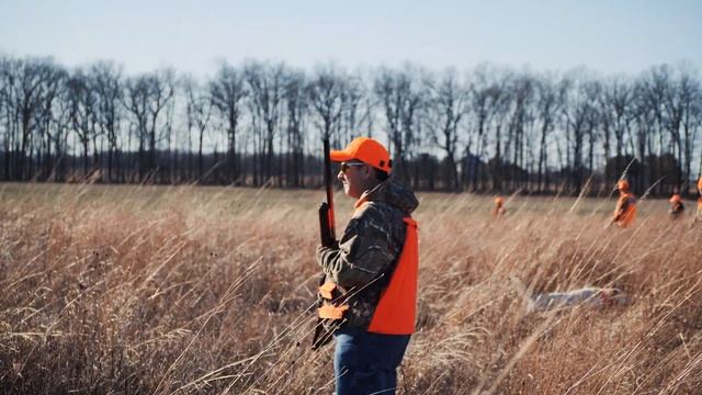 Wild Upland Game Pheasant Hunting in Illinois | Team Radical смотреть онлайн