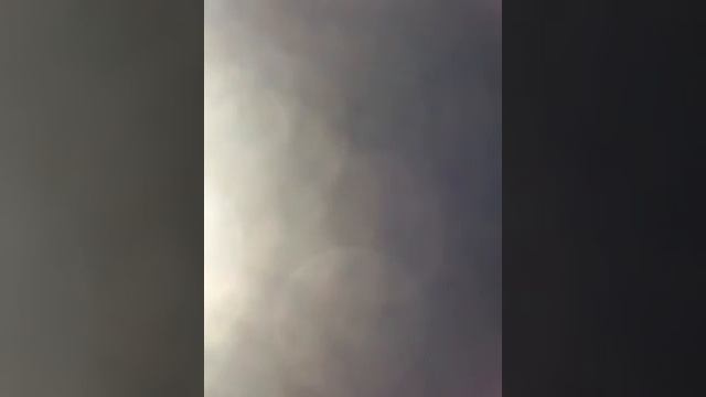 Мельница "дуб , терновник и ясень " смотреть онлайн