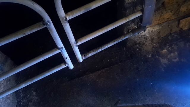 ворота в доильный зал смотреть онлайн