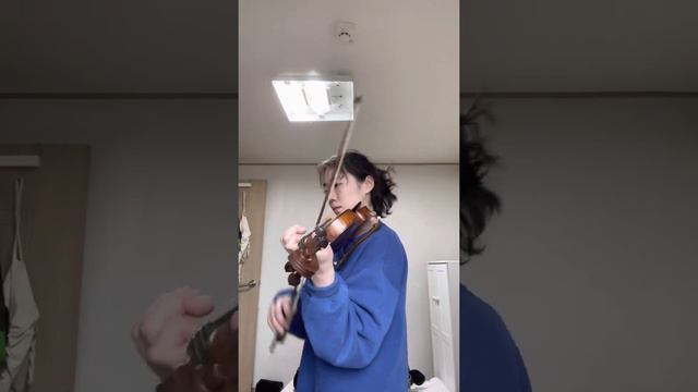Bach Partita for Solo Violin No. 3 in E major BWV 1006 Gavotte en Rondeau