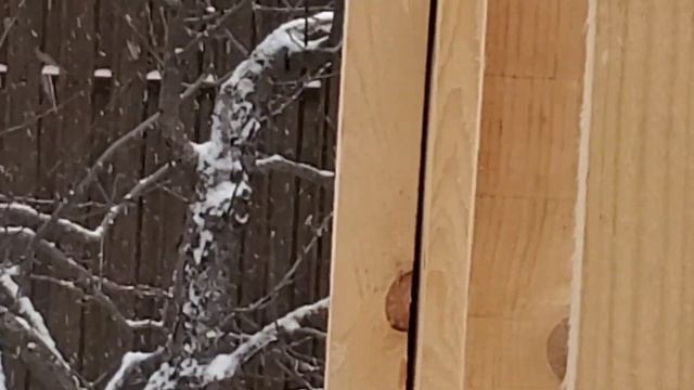 Строю каркасный дом. Прораб уволил бригаду. Алилуйя! смотреть онлайн