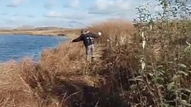 Fish-Point.ru. Щука в Пензенской области смотреть онлайн