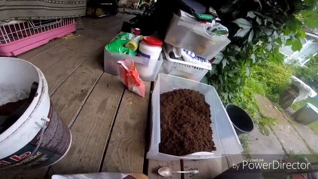 мульча для гортензии осень смотреть онлайн