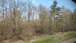 25.04.2022. Россия. Леса на юге Липецкой области