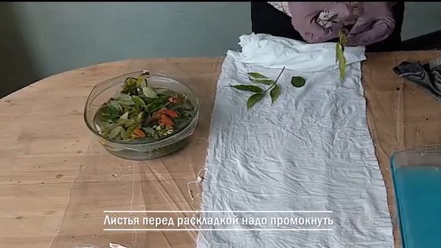 Как в старину: покрасила ткань природными материалами: листьями и минералами.