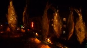 Сушим рыбу не боясь мух , вялим рыбу на открытом воздухе не боясь мух , как вялить рыбу без мух