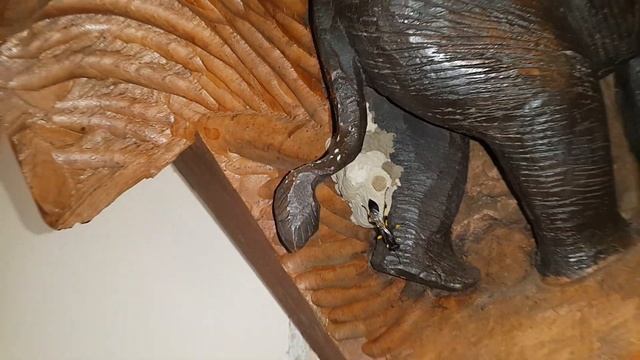 Оса-пелопей построила в нашей квартире дом и скромно поселилась в нем. Северный Кипр. Кирения. смотреть онлайн